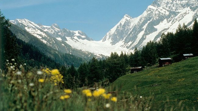 Hotel Edelweiss Blatten Loetschental Exterior photo